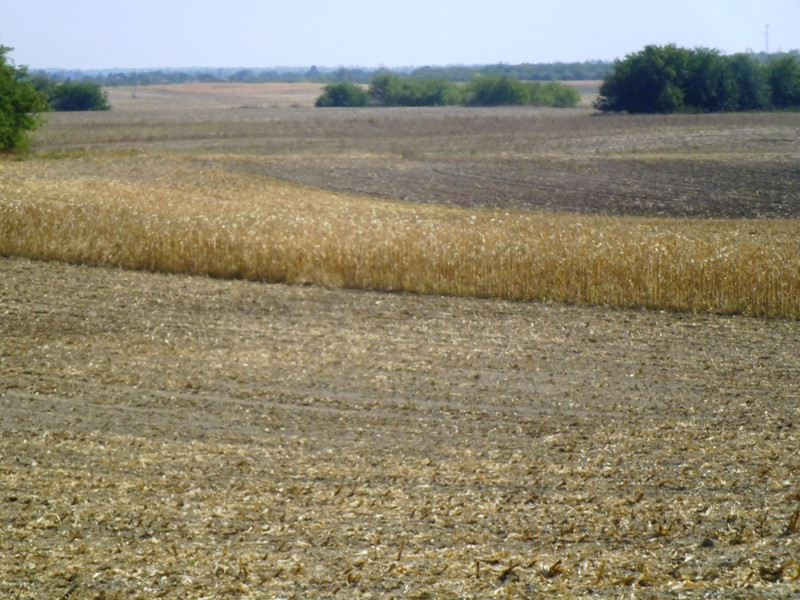 12.09.24. Víztározó 3 025