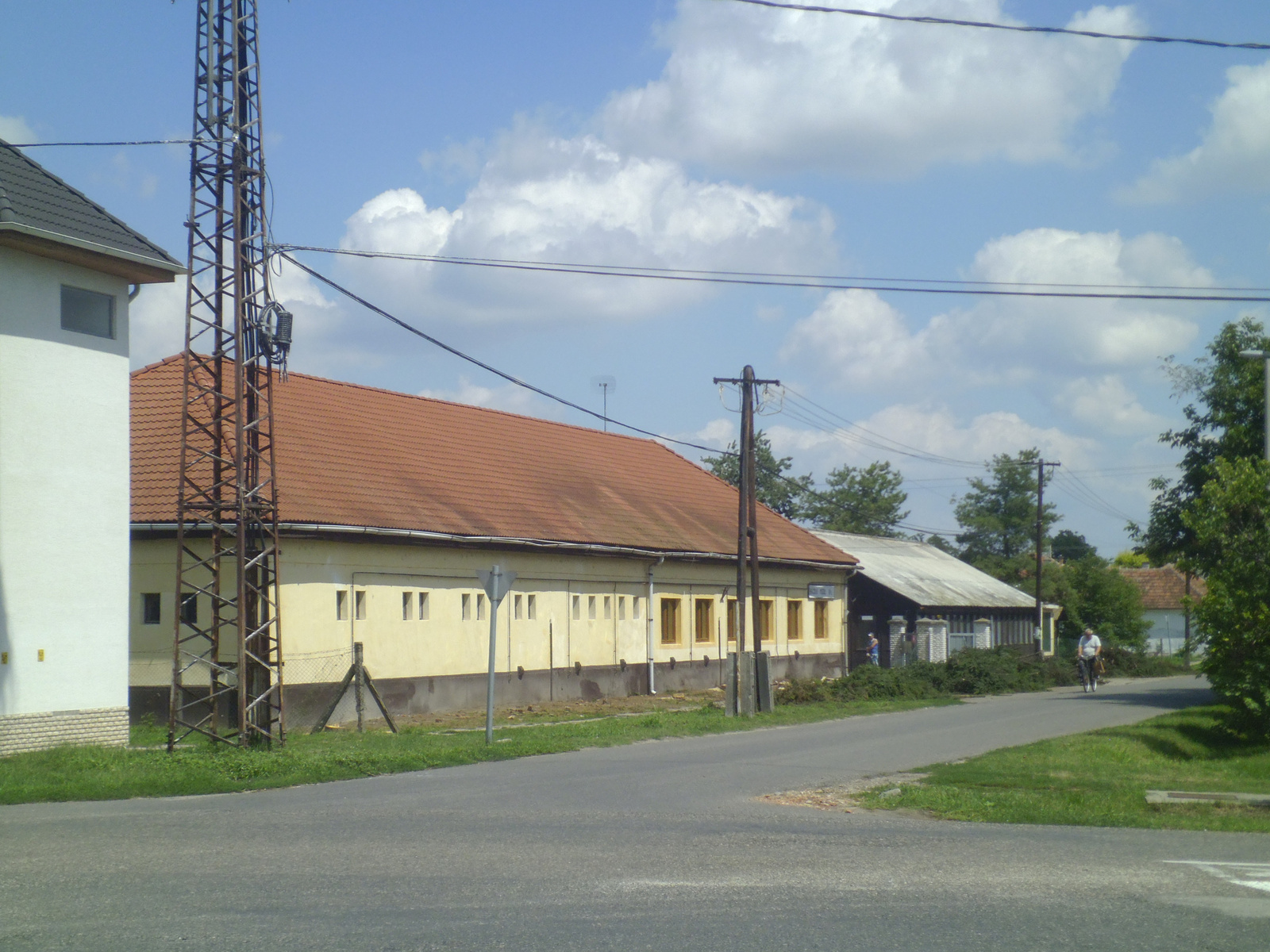 12.07.31. Sós-tó és BácskaModul fenyők... 061