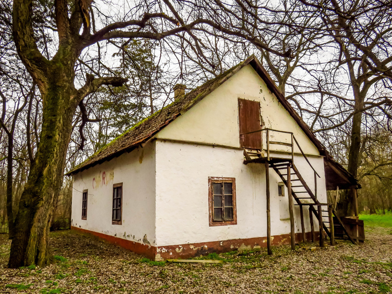 Csárda - Szelevényi erdő