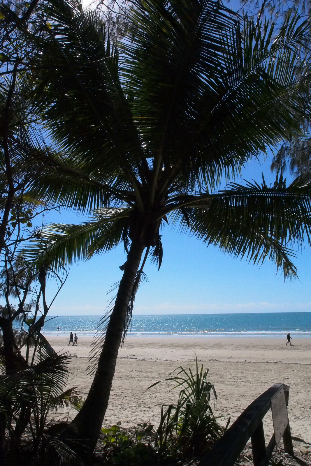 Port Douglas ,észak Ausztrália