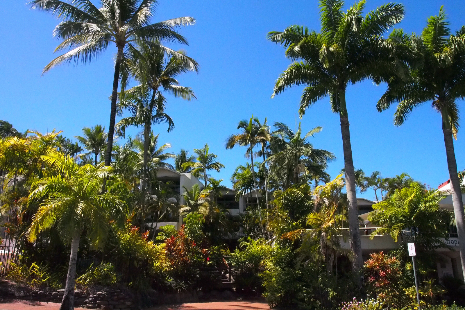 Port Douglas ,észak Ausztrália