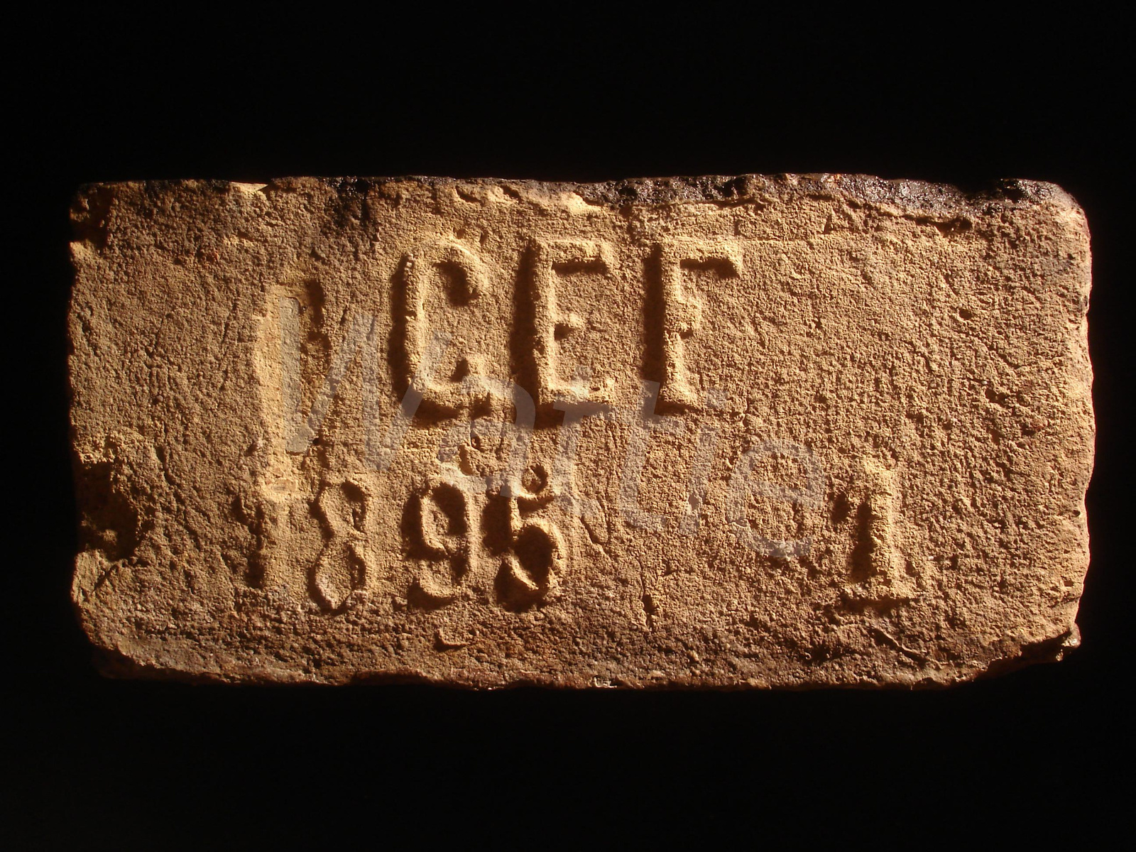 GEF 1895 1 (Gróf Esterházy Ferenc) vj