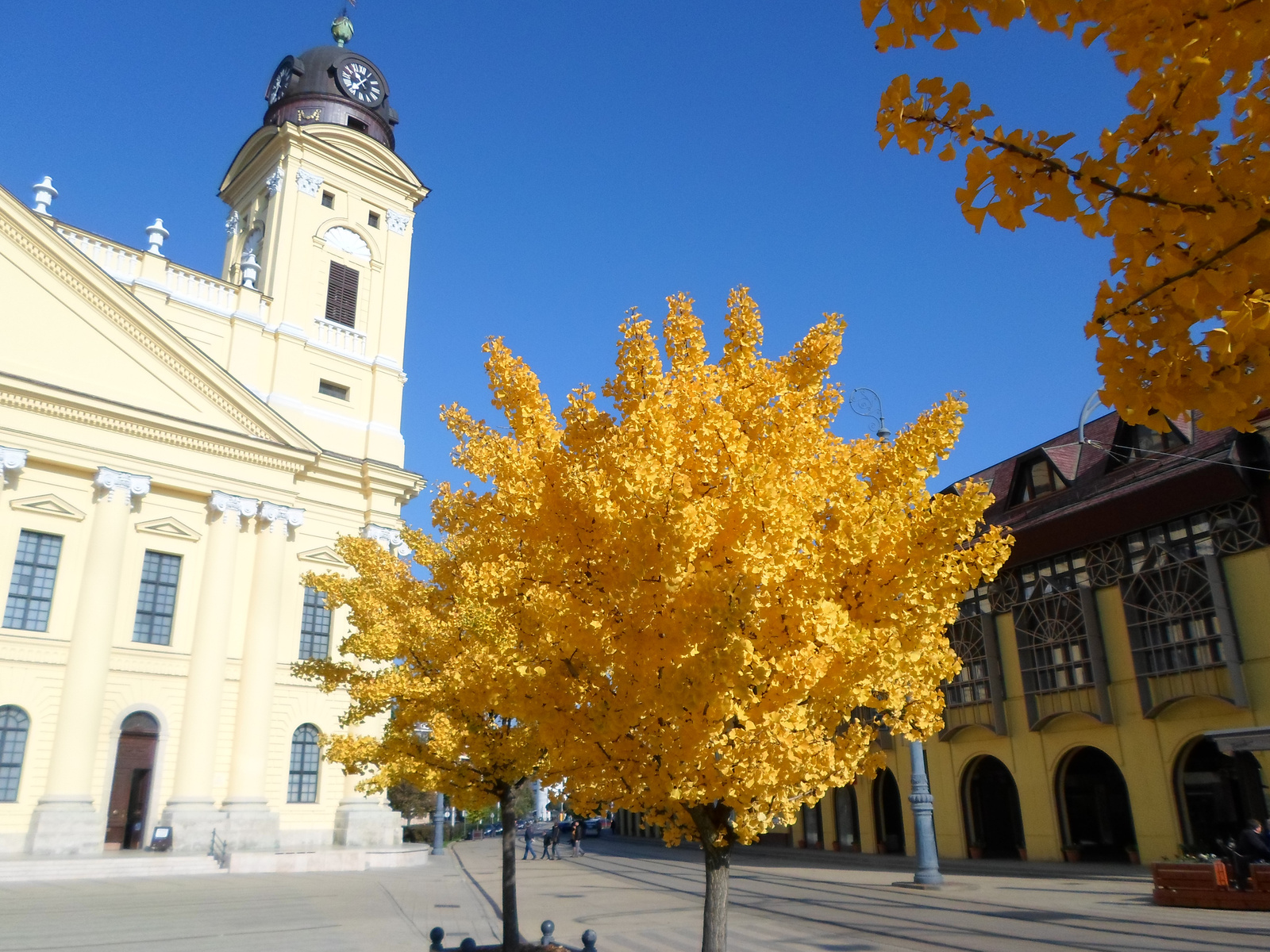 Sárga variációk