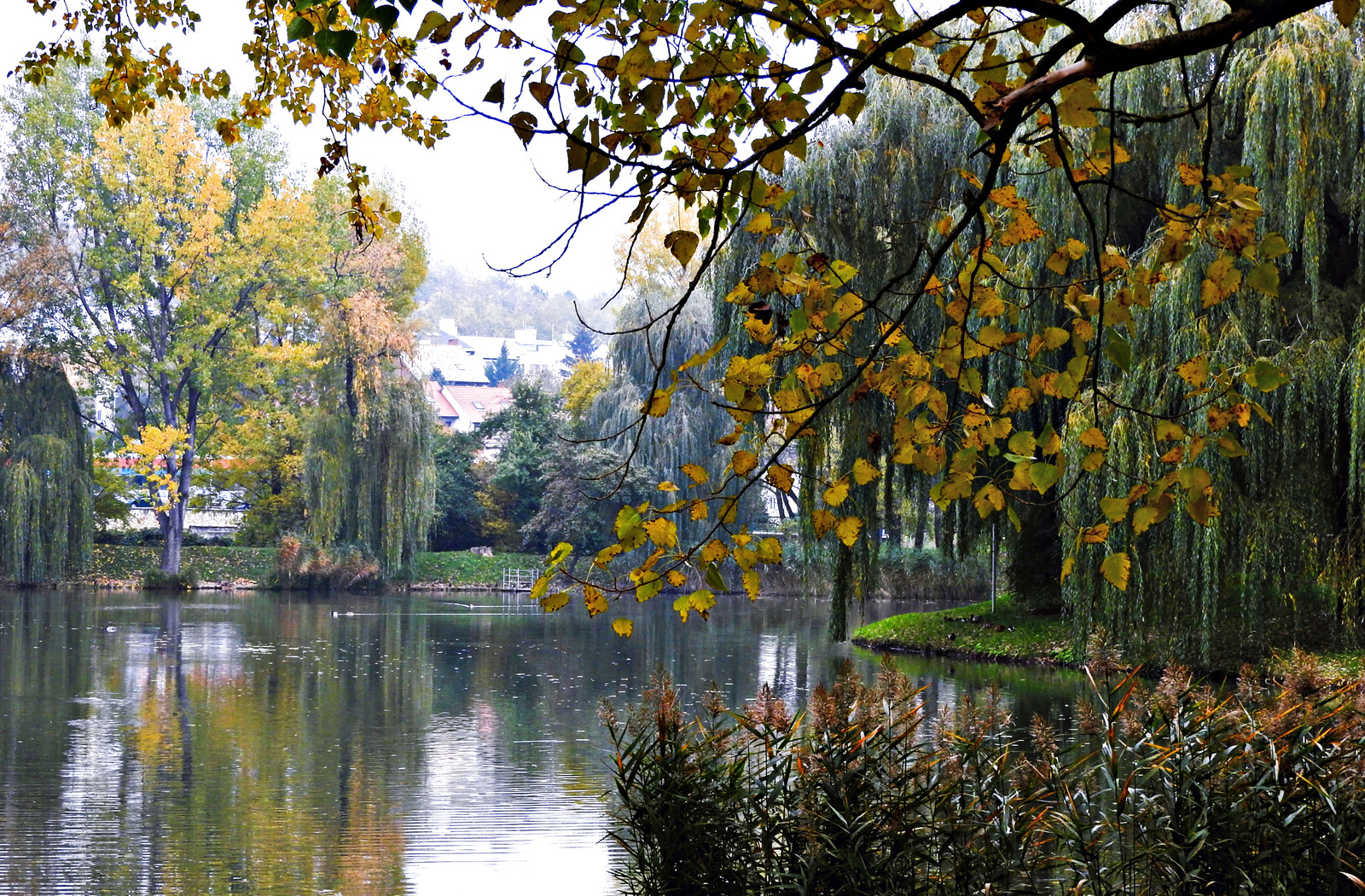Ősz .Ibolya tó Sopron