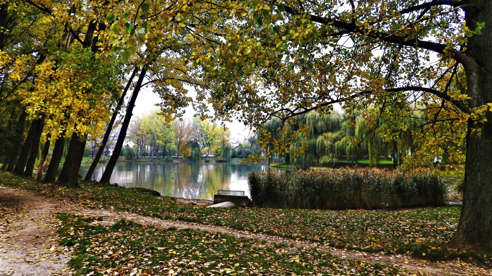 Ibolya tó Sopron ősz