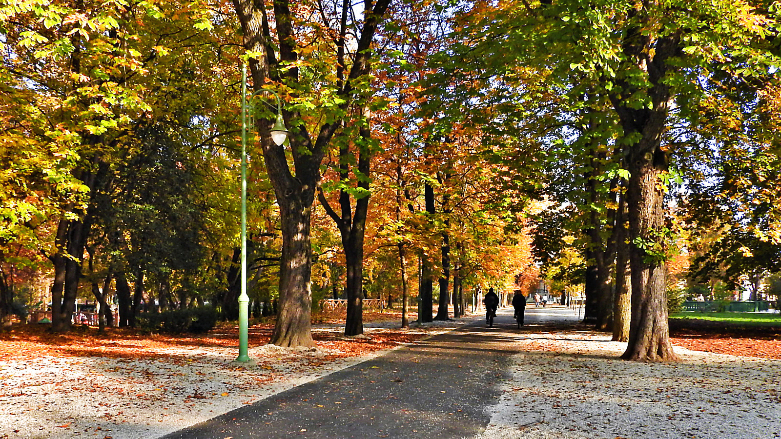 Erzsébet kert, Sopron, ősz, kerékpárosok