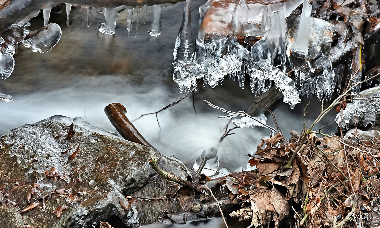 Erdei patak Tél Jég