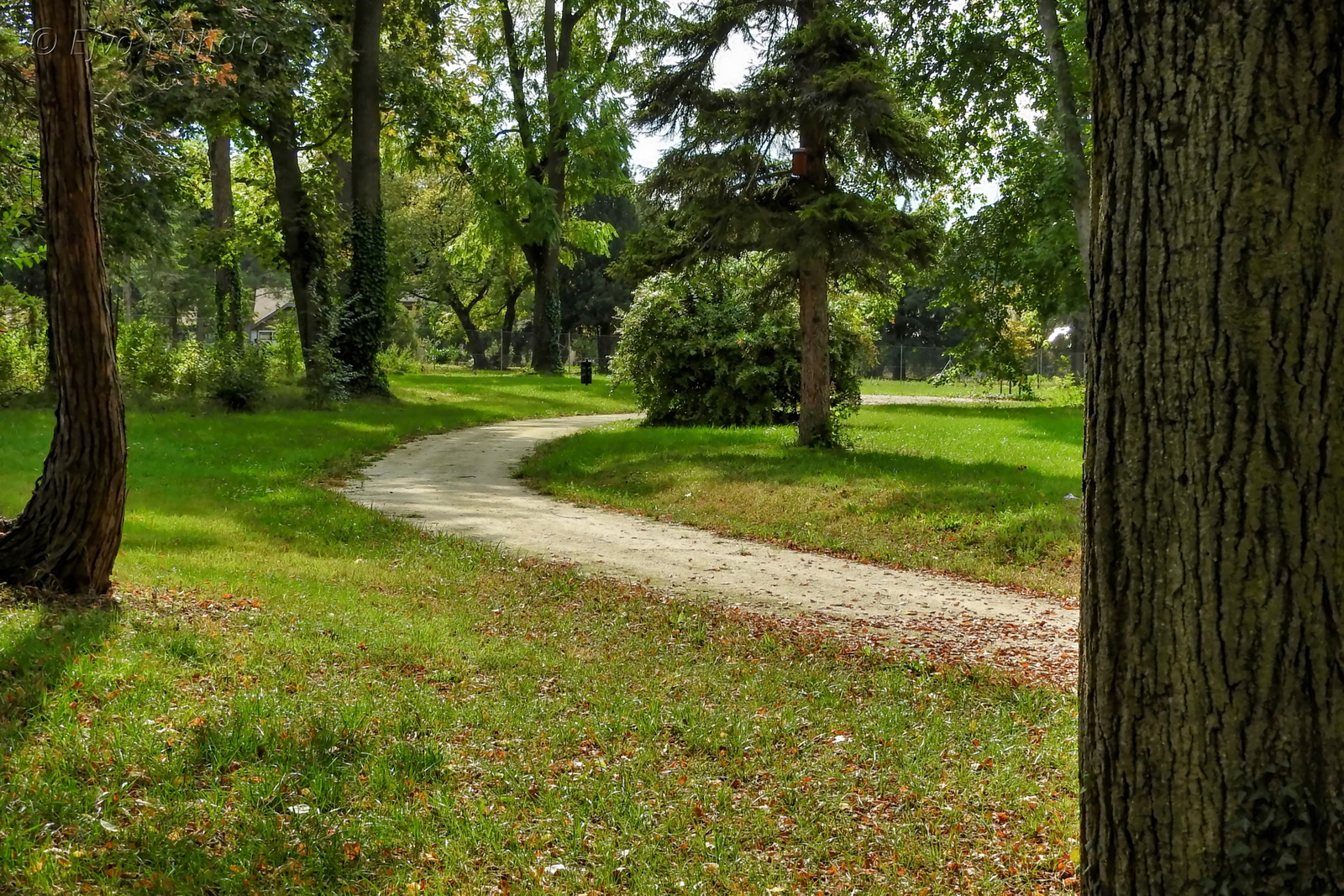 Esterházy-kastély Fertőd Park