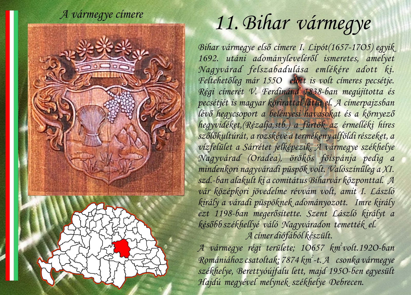 11. Bihar vm másolata