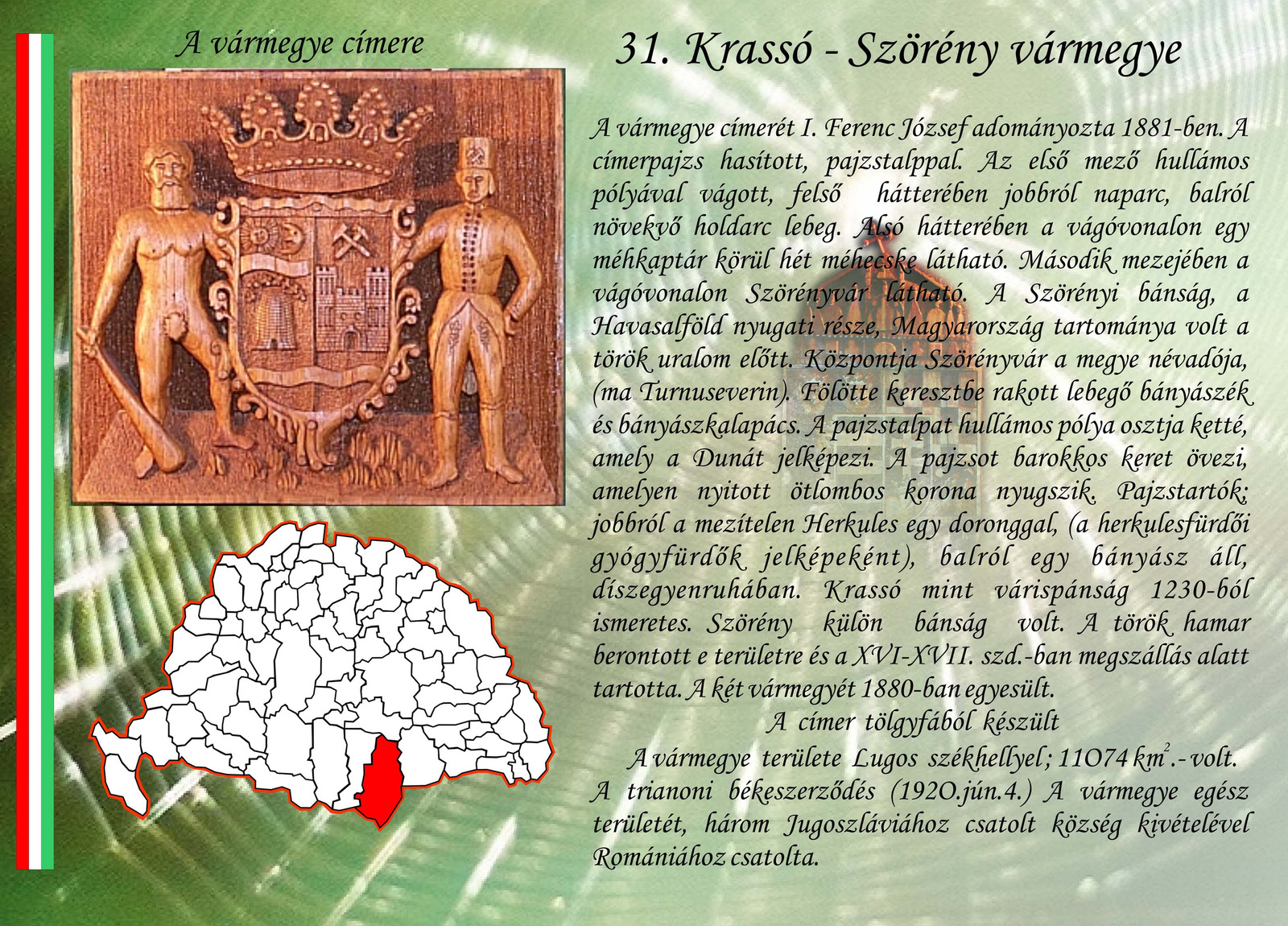 31. Krassó-Szörény vm