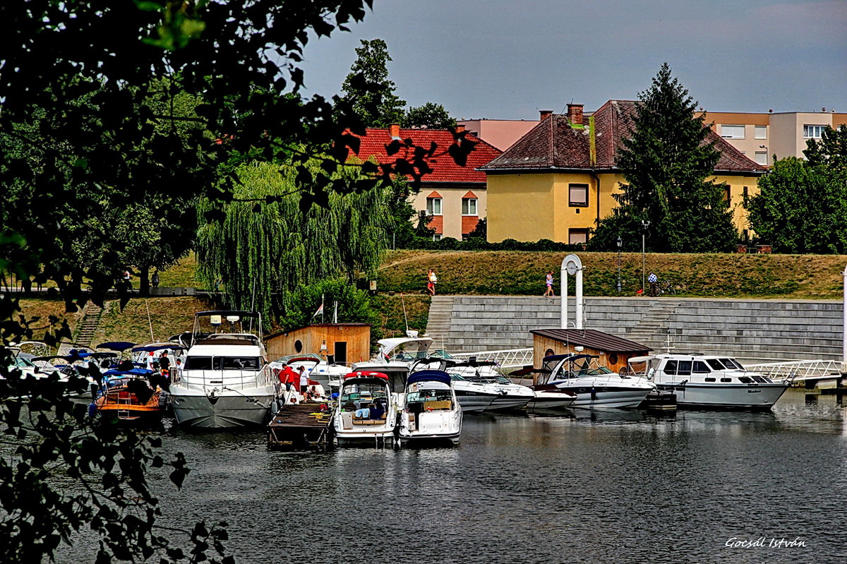 Baja, Sugovica, Yacht-kikötő