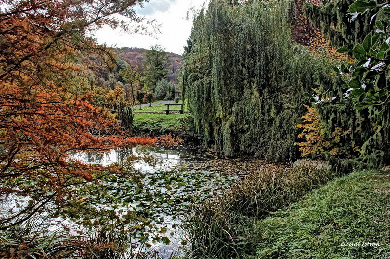 Hosszúhetény, Püspökszentlászló, arborétum(33) átméretezve