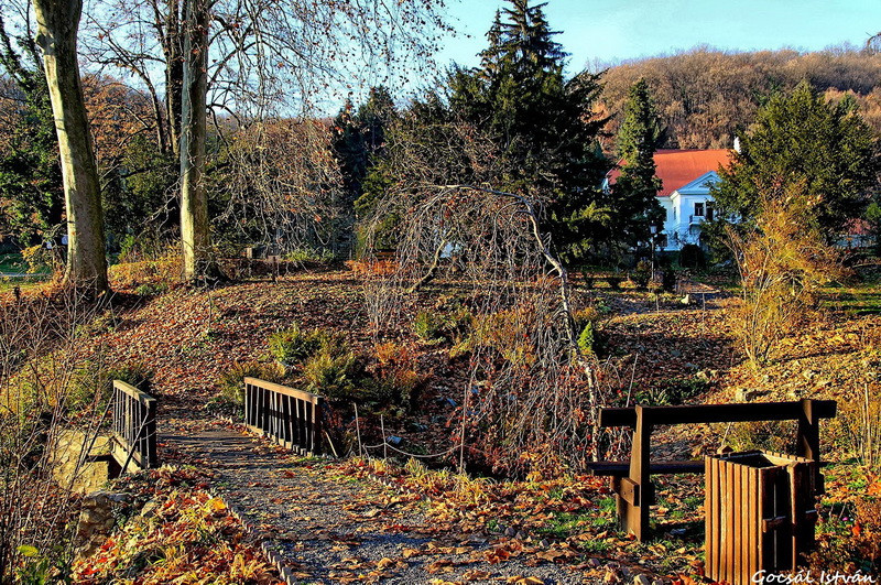 Hosszúhetény, Püspökszentlászló, arborétum