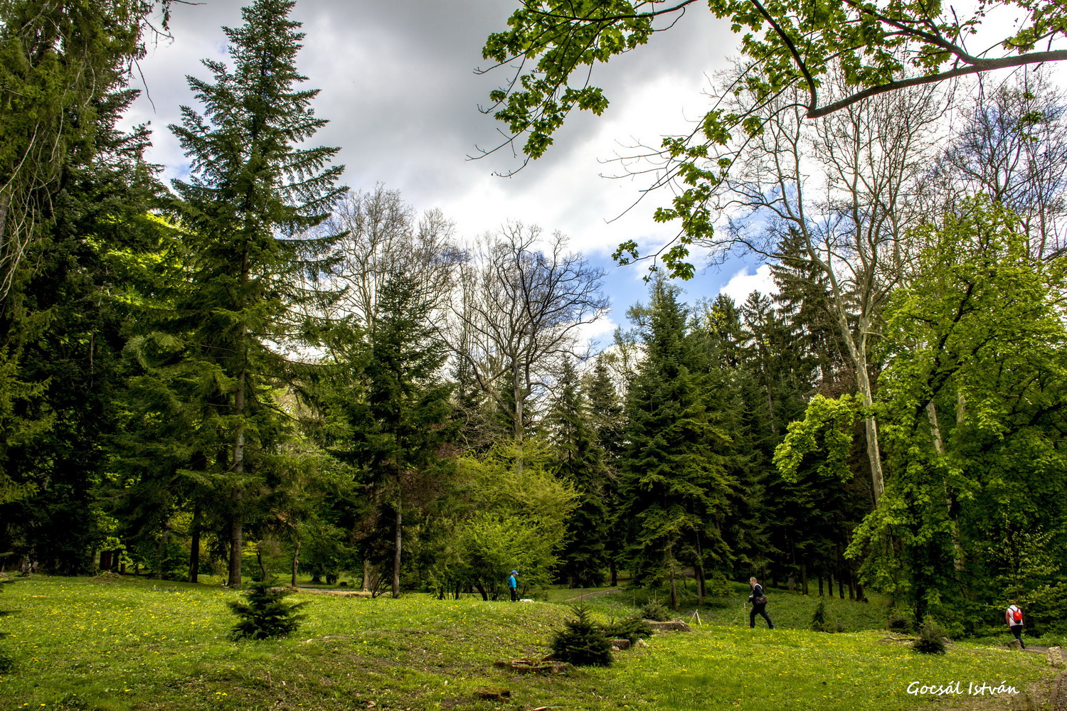 Arborétum - Püspökszentlászló