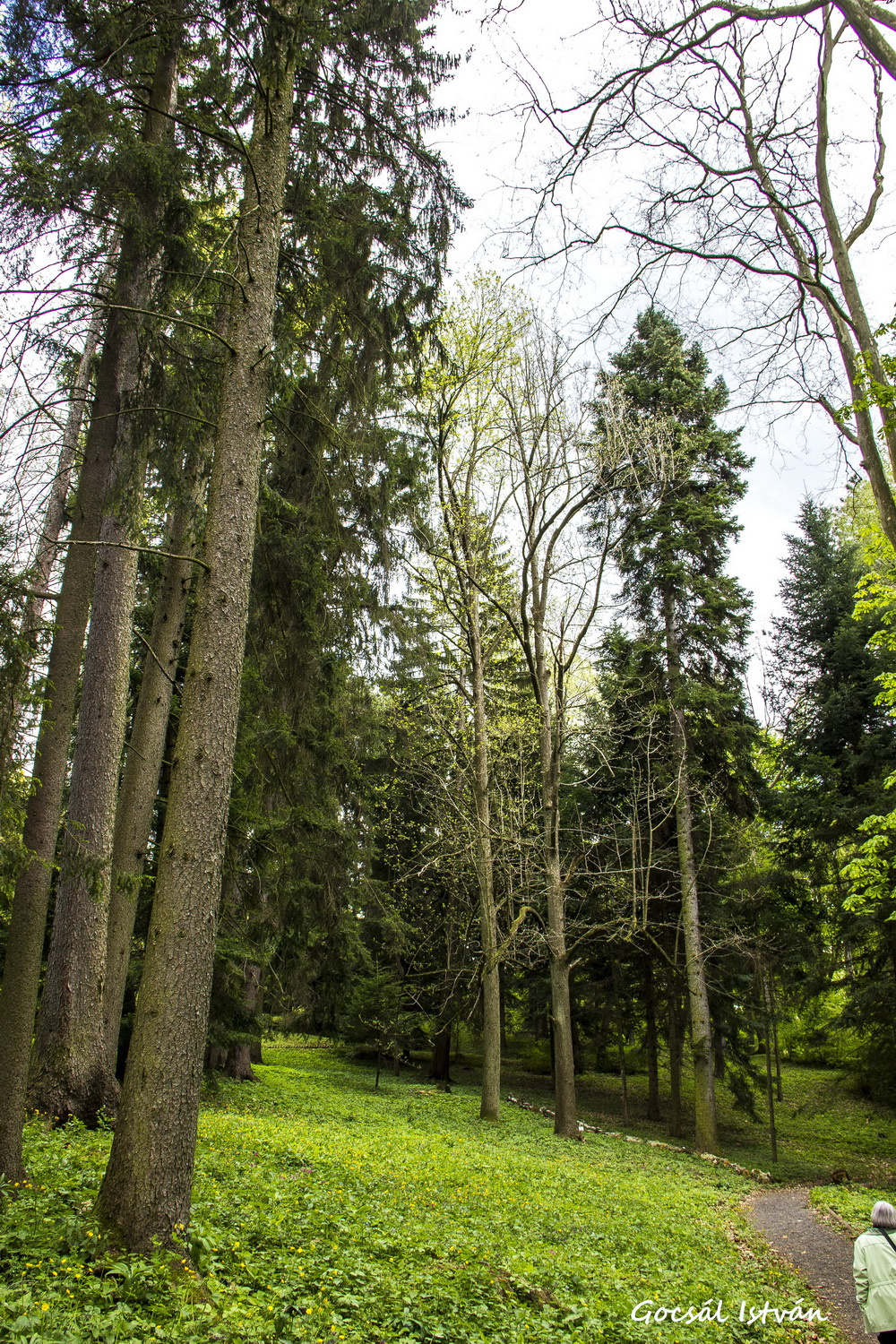 Püspökszentlászló - Arborétum