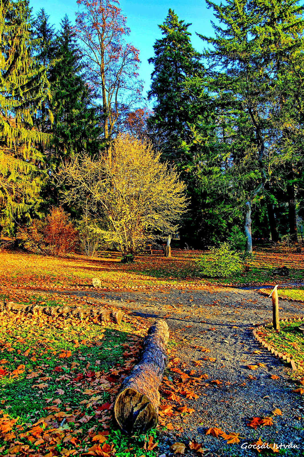 Arborétum - Hosszúhetény, Püspökszentlászló