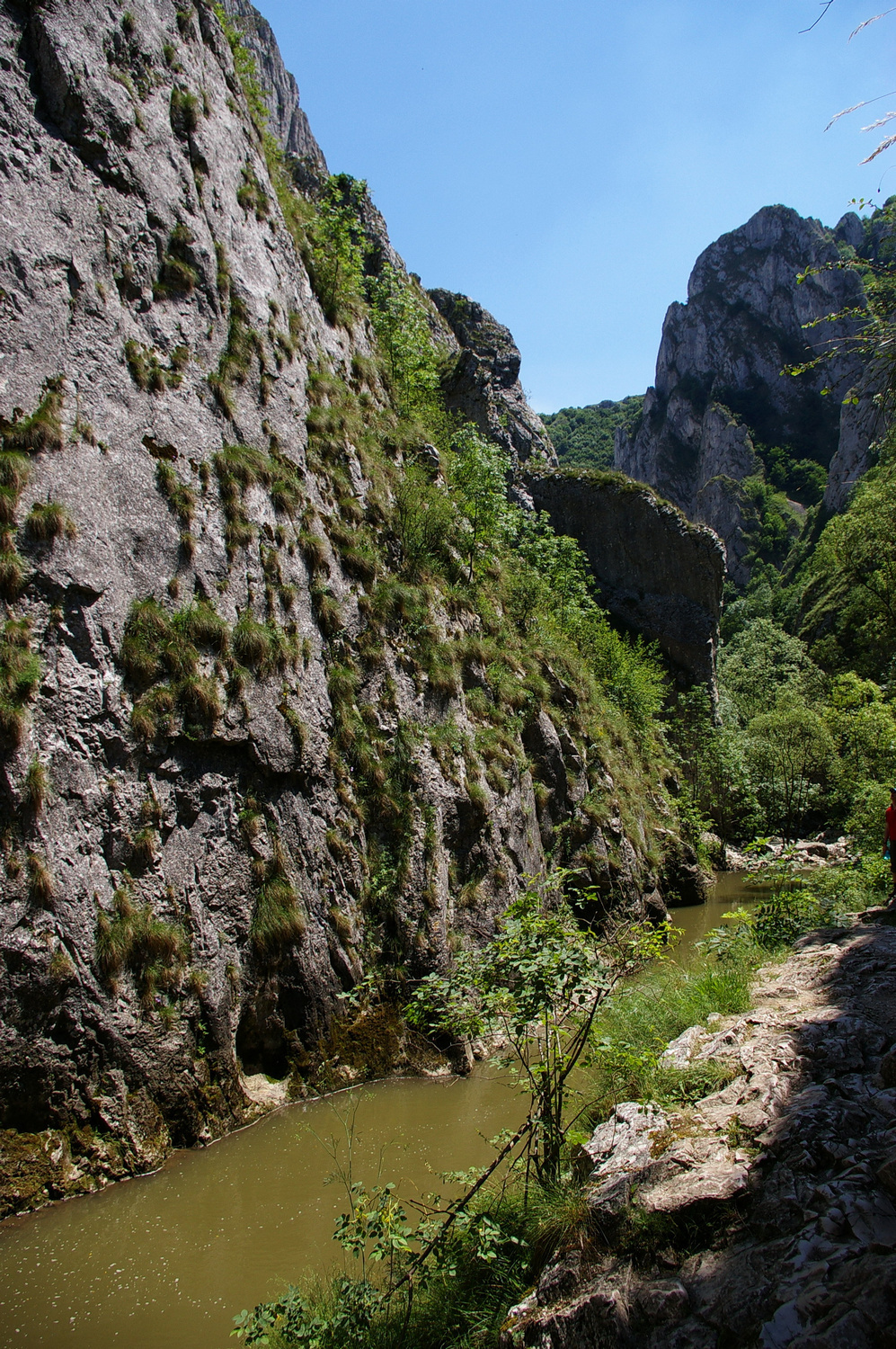 Tordai-hasadék