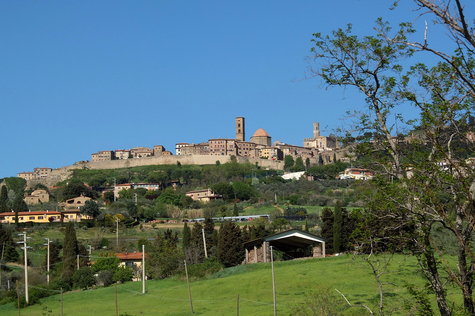 Volterra