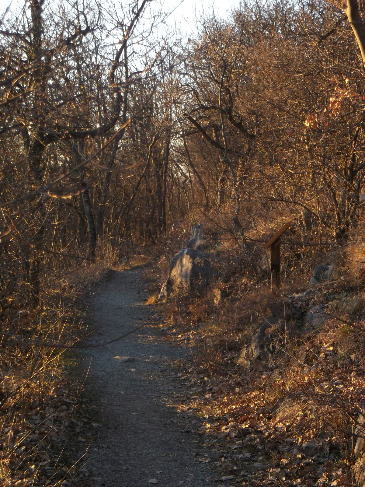 A Mecsek útja