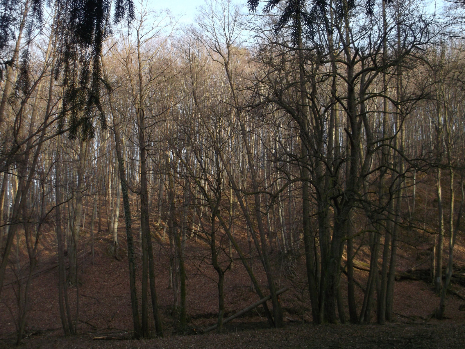 Panoráma a kulcsosház előtt a hintaágyból