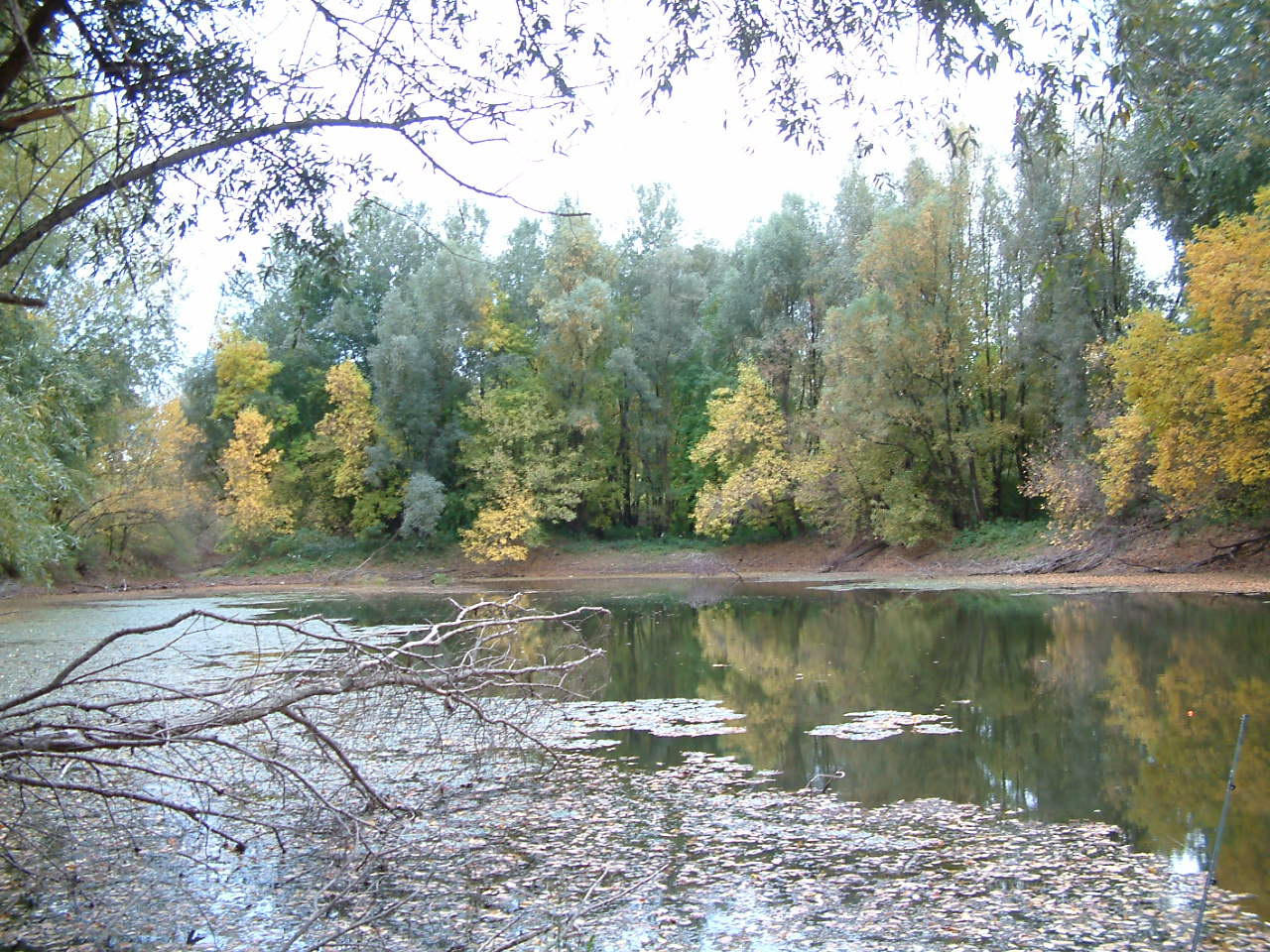 Kalocsai tó