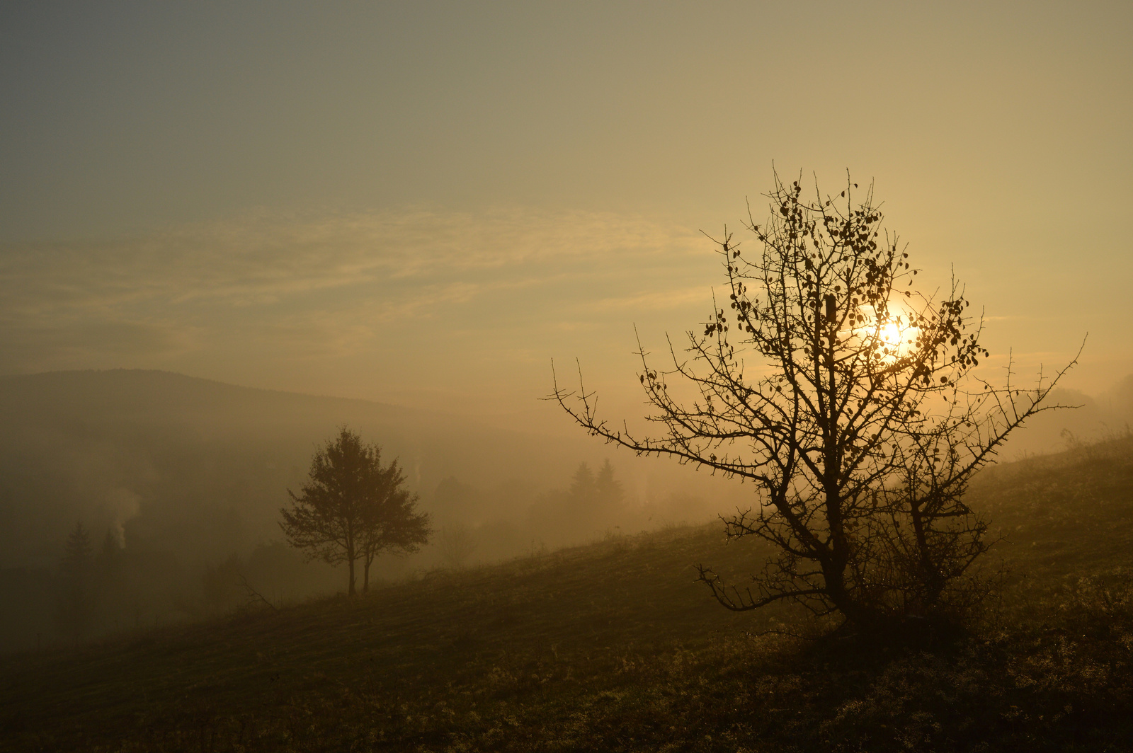 Karancsalja november