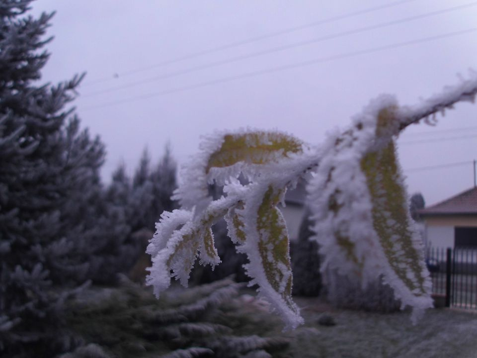 Fagyos, zuzmás Decemberi nap