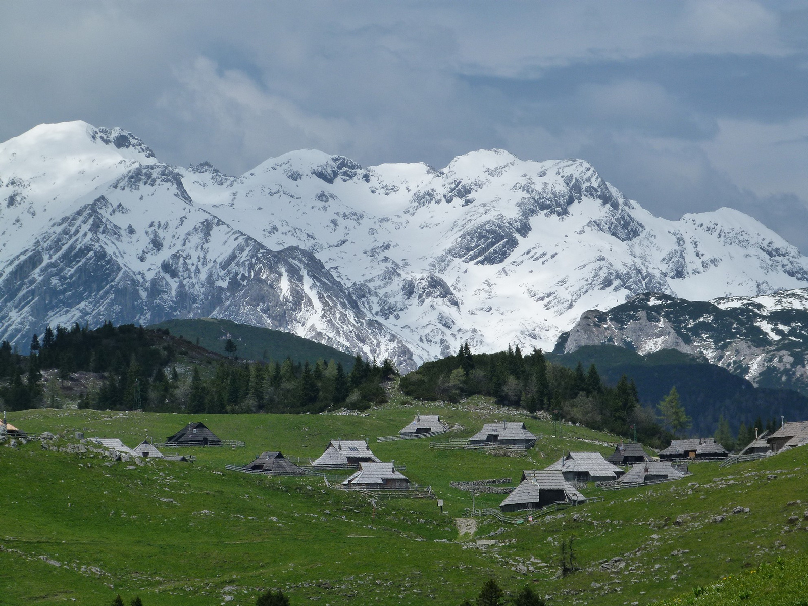 Velika Planina