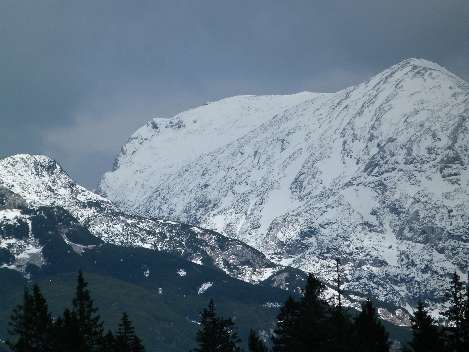 Velika Planina