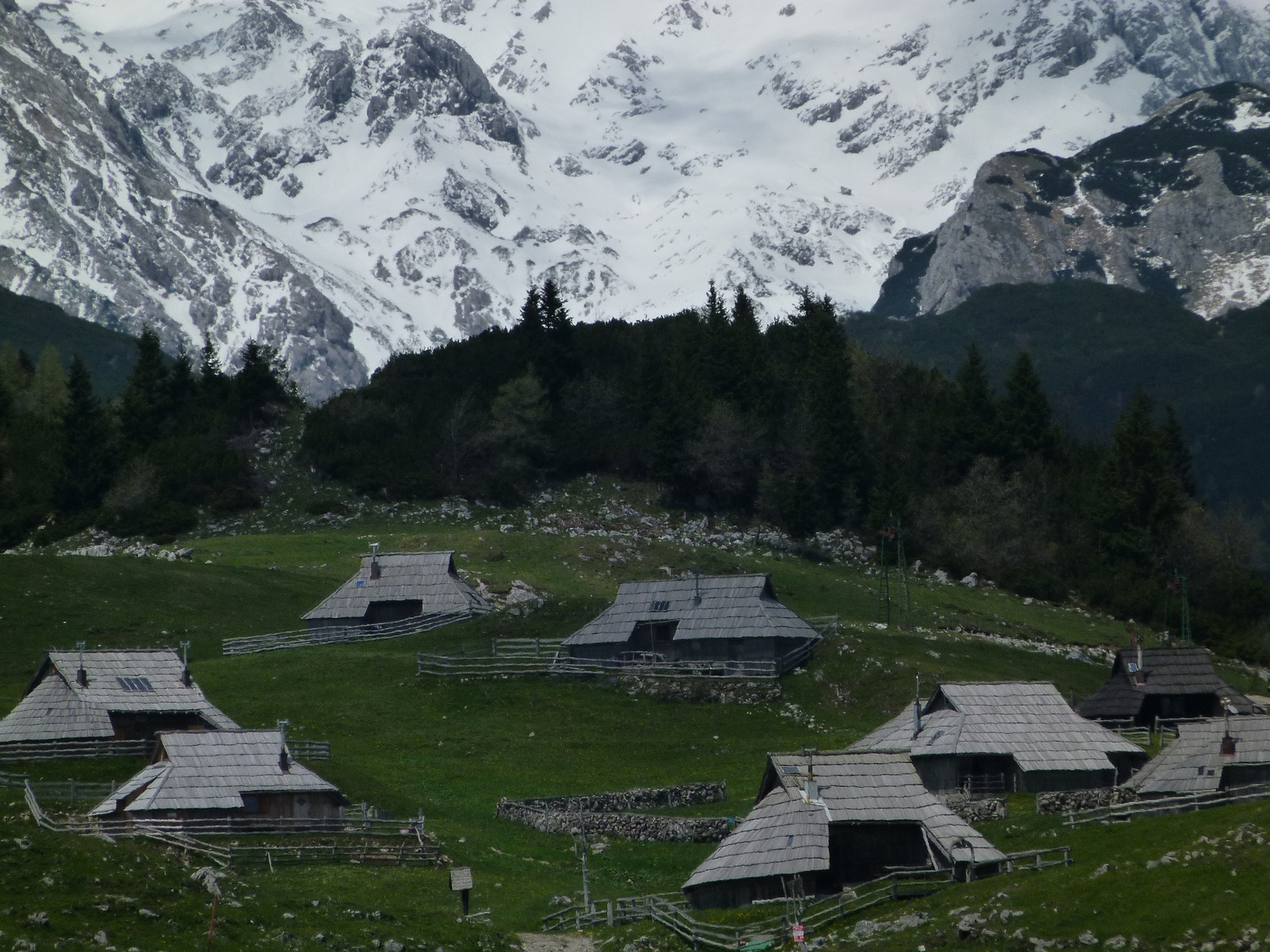 Velika Planina