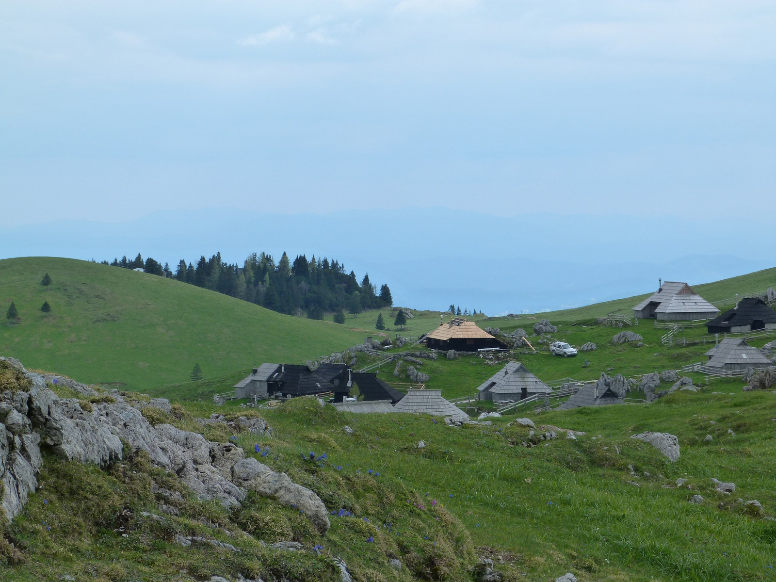 Velika Planina