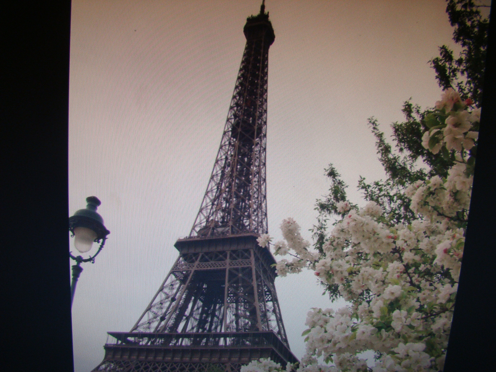 PARIZS Eiffel tower by Cathy Cotte, all rights reserved!