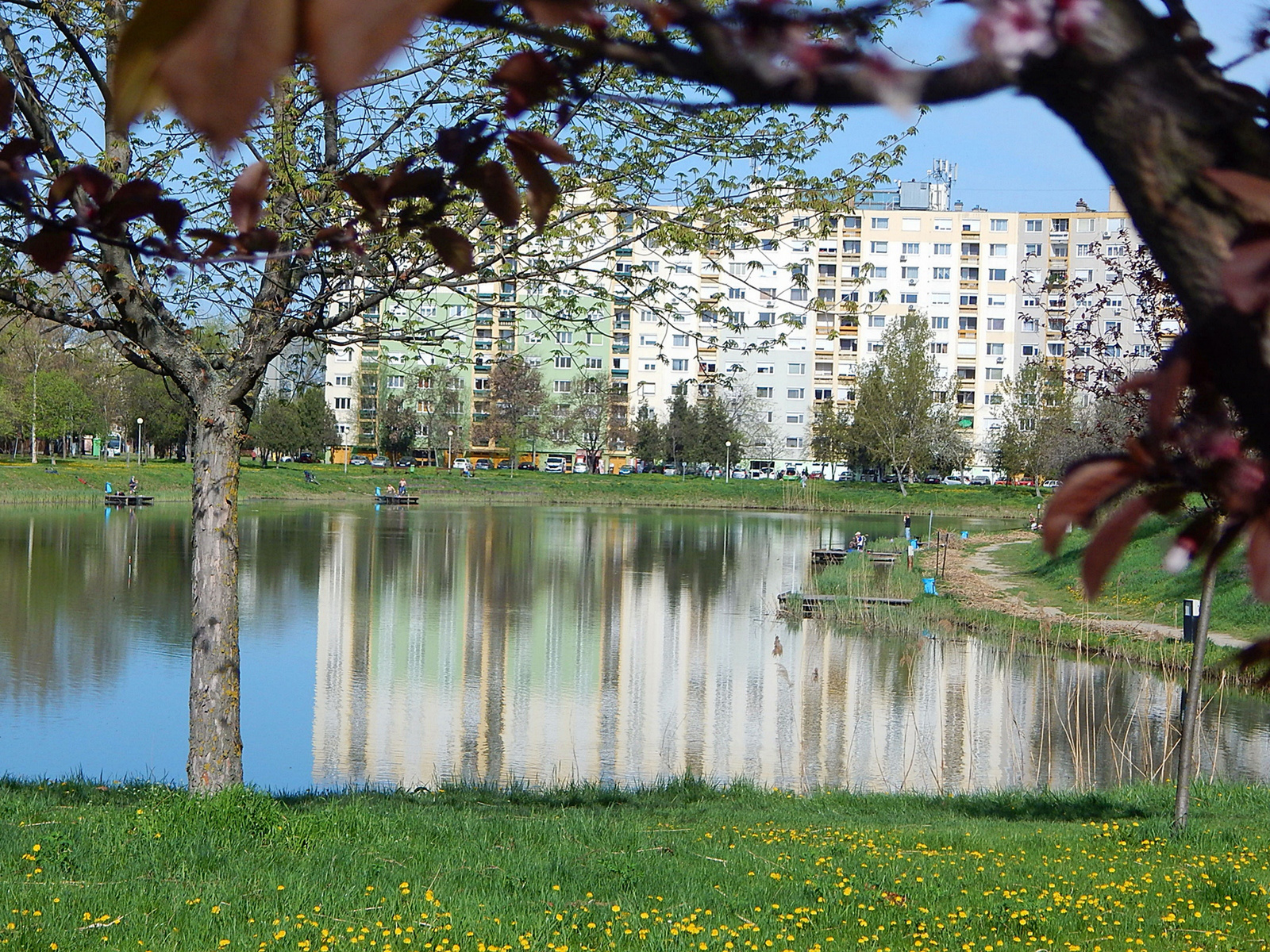 Szeged, Vértó