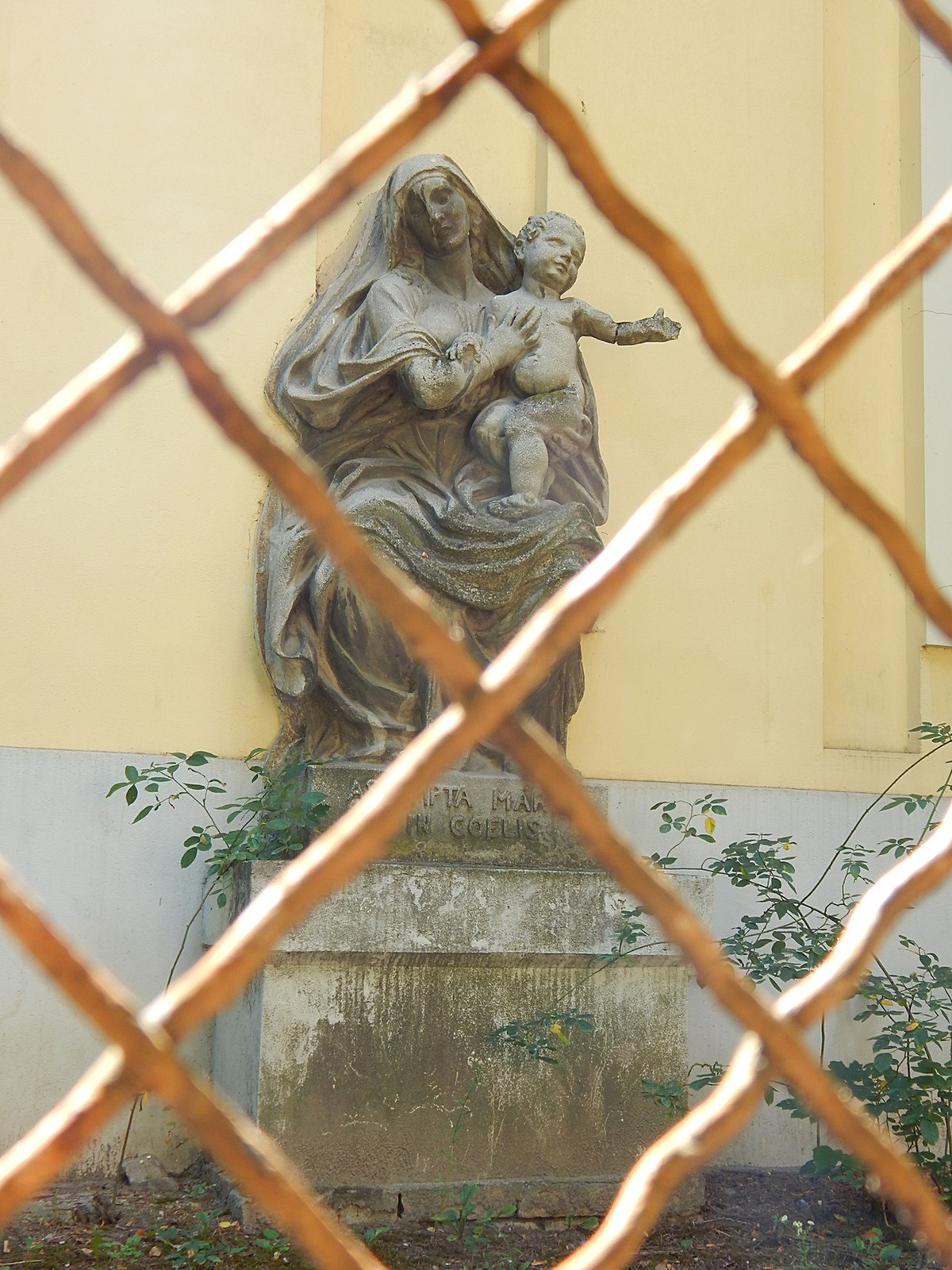Abony, Assumpta Maria in Coelis