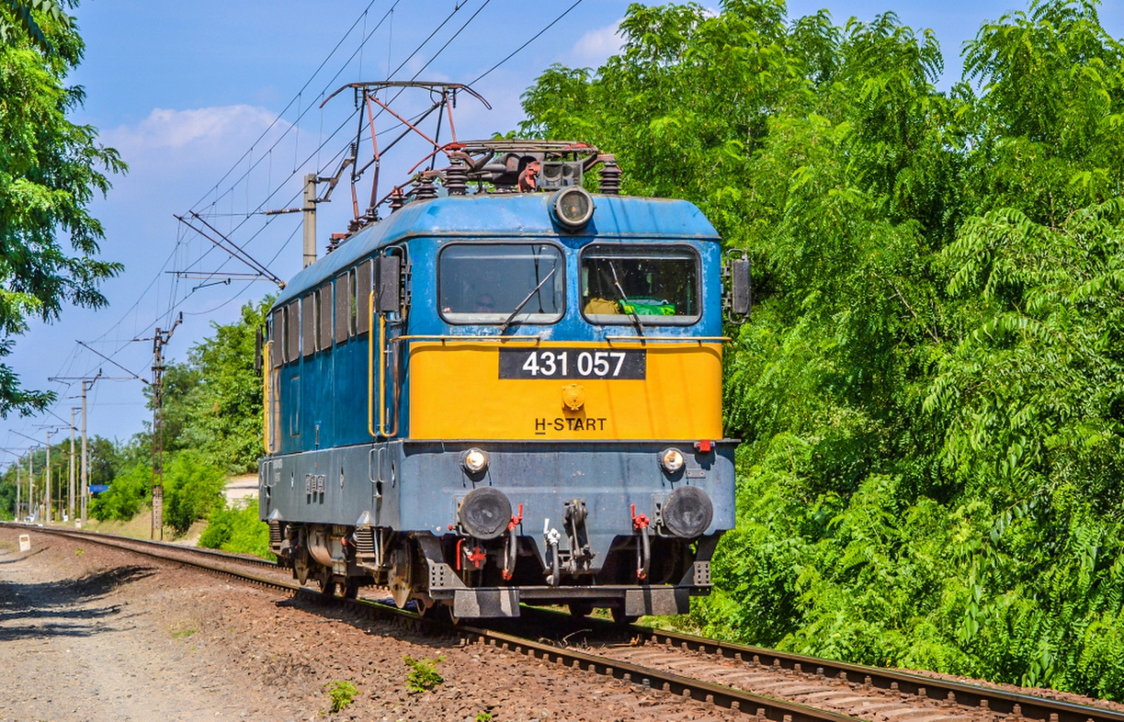 431 057 - 002 Taksony