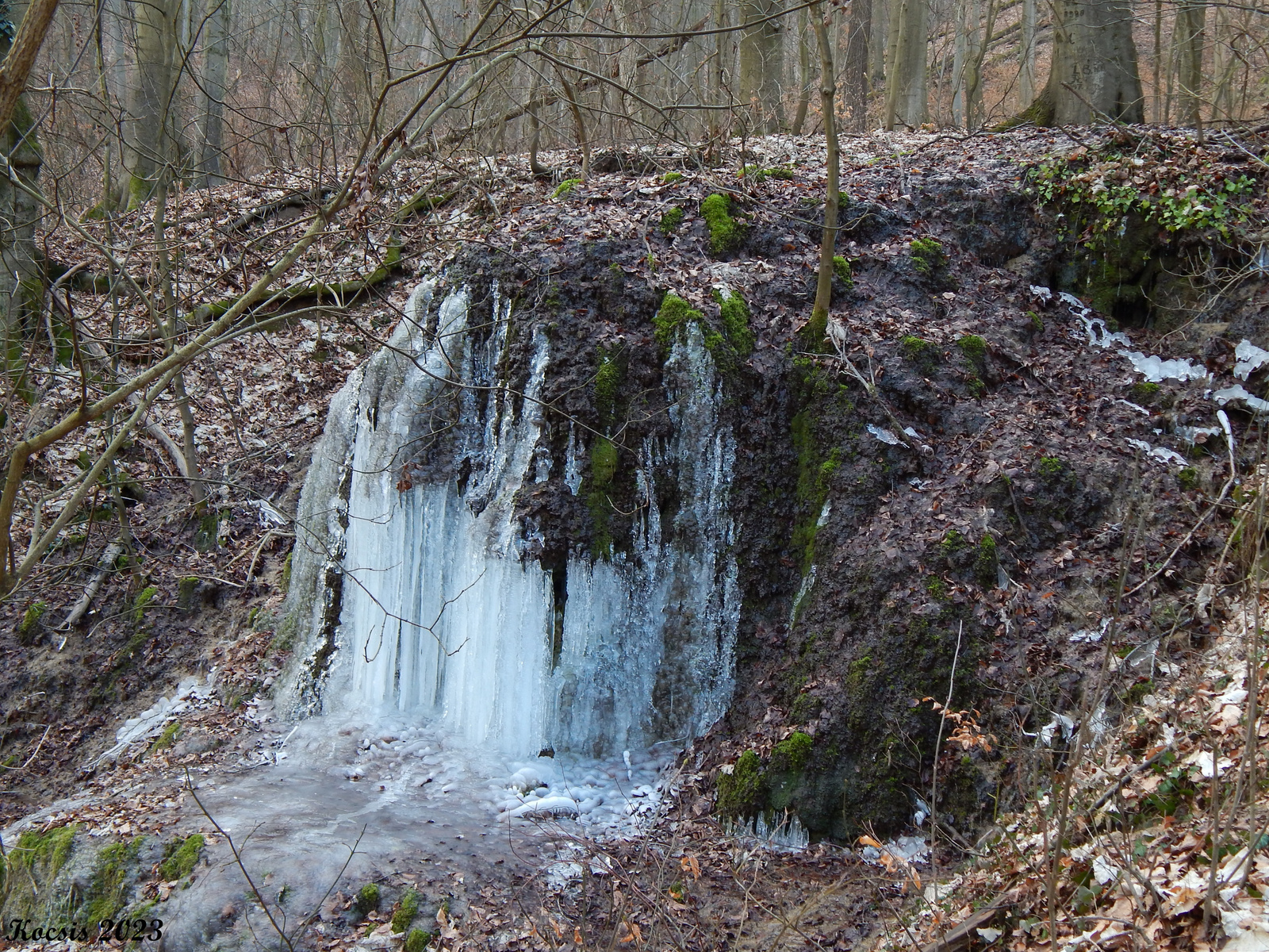 dobrica forrás