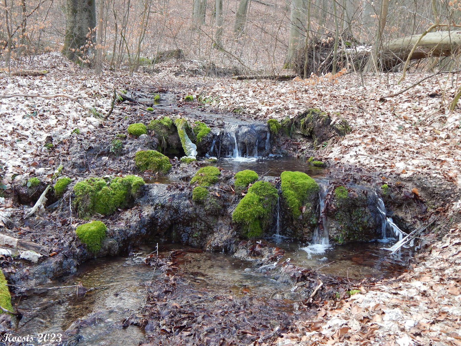 dobrica forrás