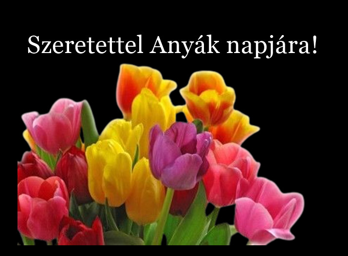 tulipános anyák napjára.png