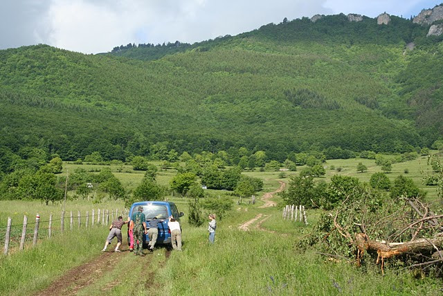 torocko201005 sár