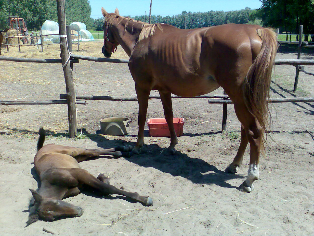 201007 Tábor275