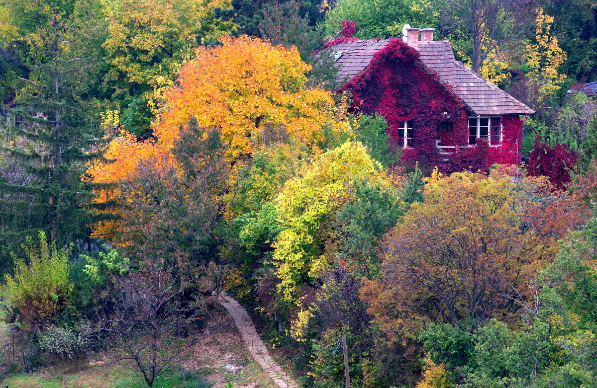 Ősz