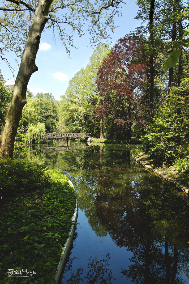 Alcsúti arborétum