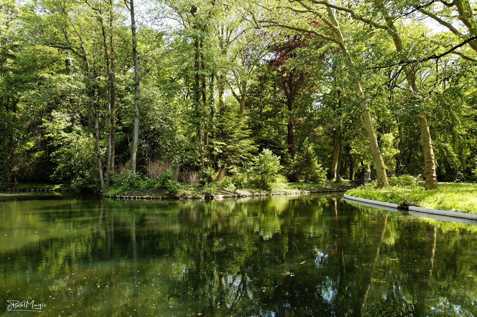 Alcsúti arborétum