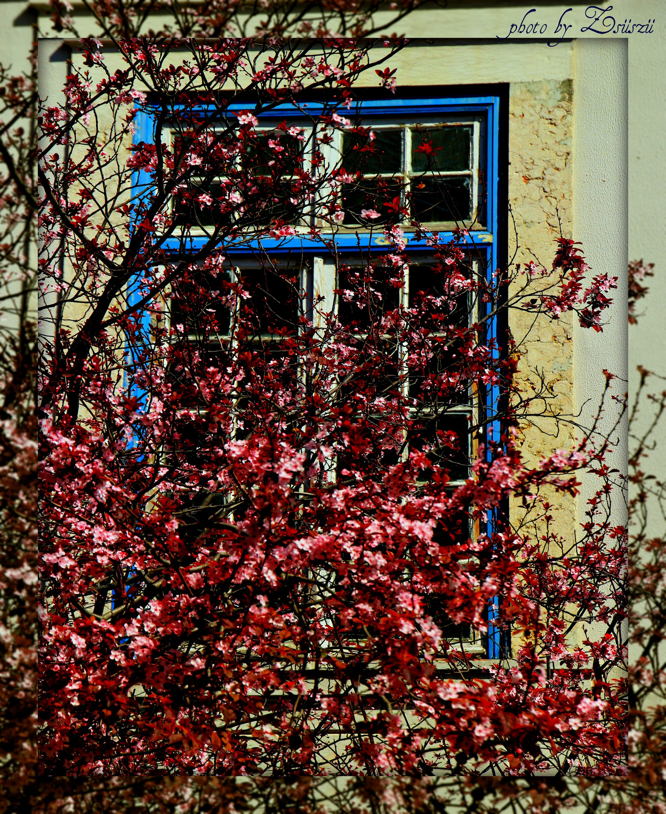 Virágos ablak...