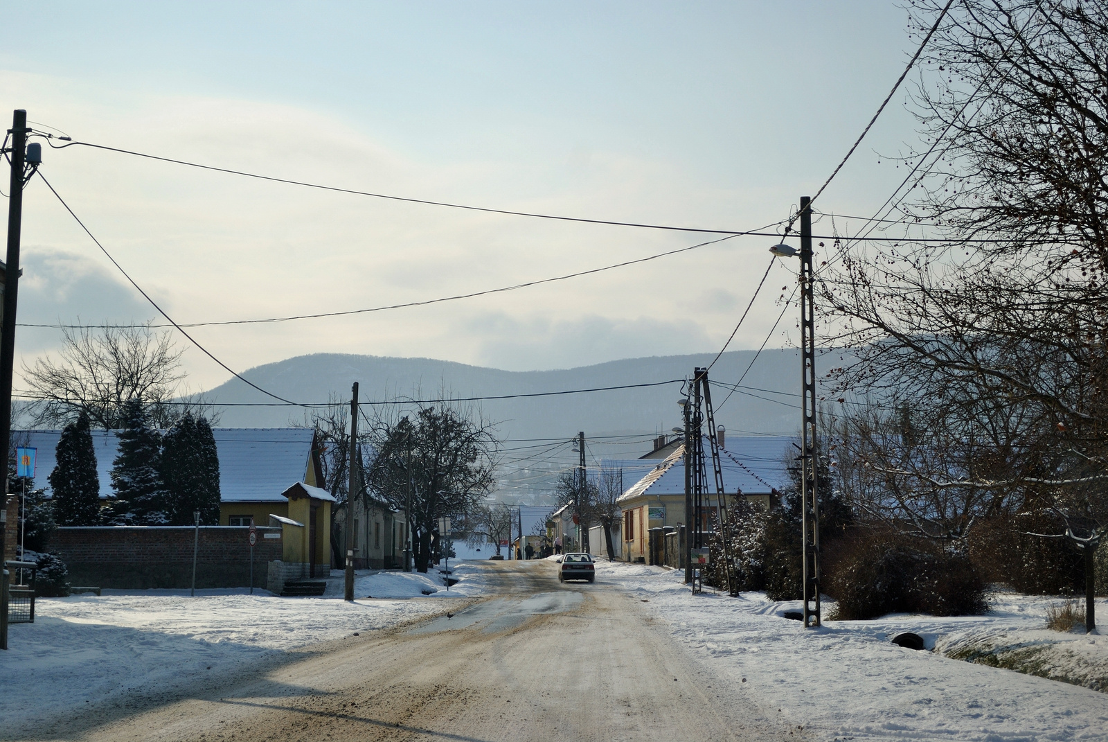 Csendélet