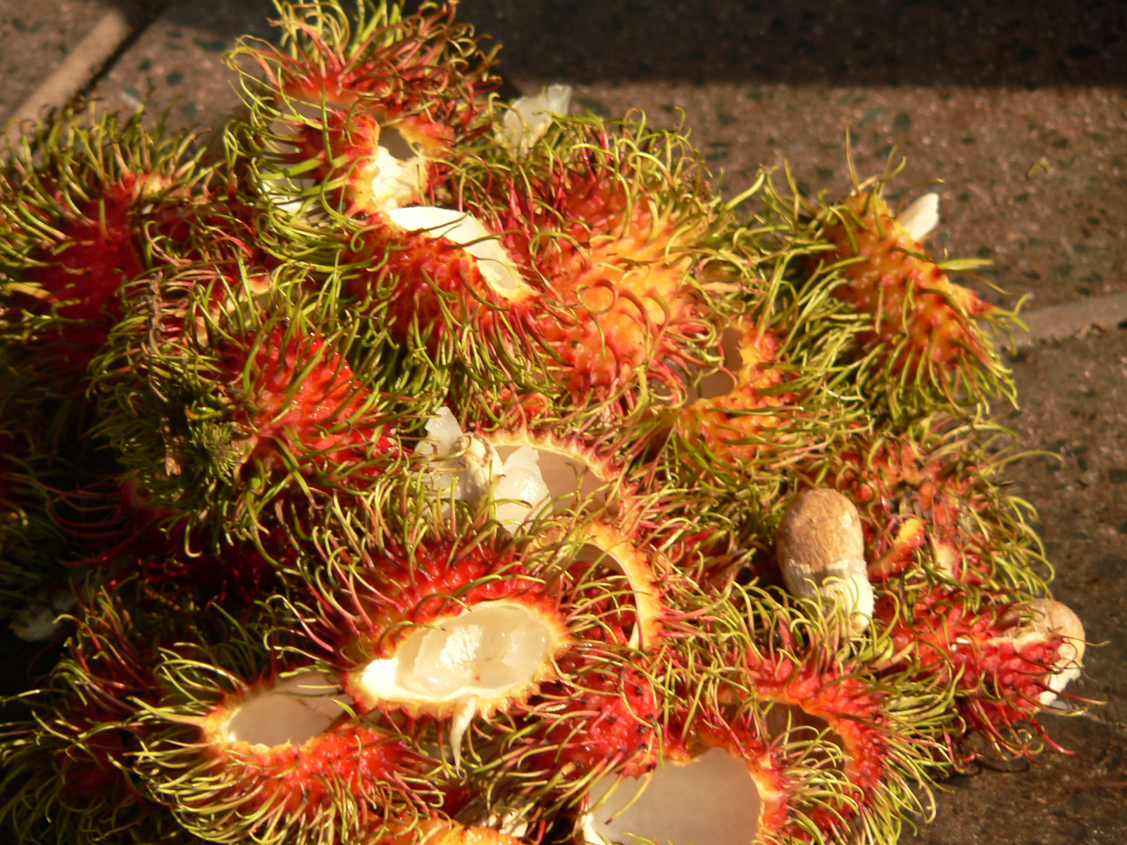 rambutannn nyami;)