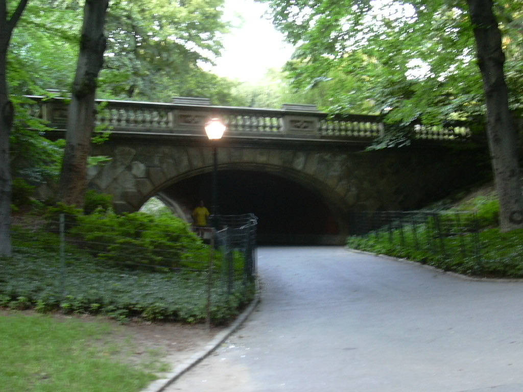 491 Central Park