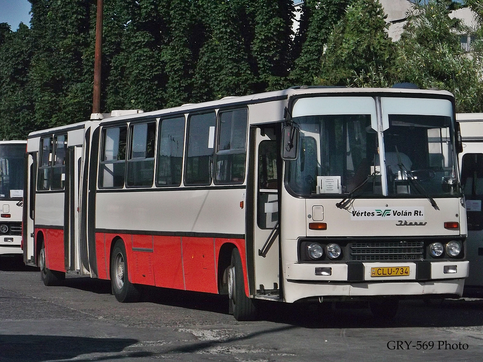 CLU-734