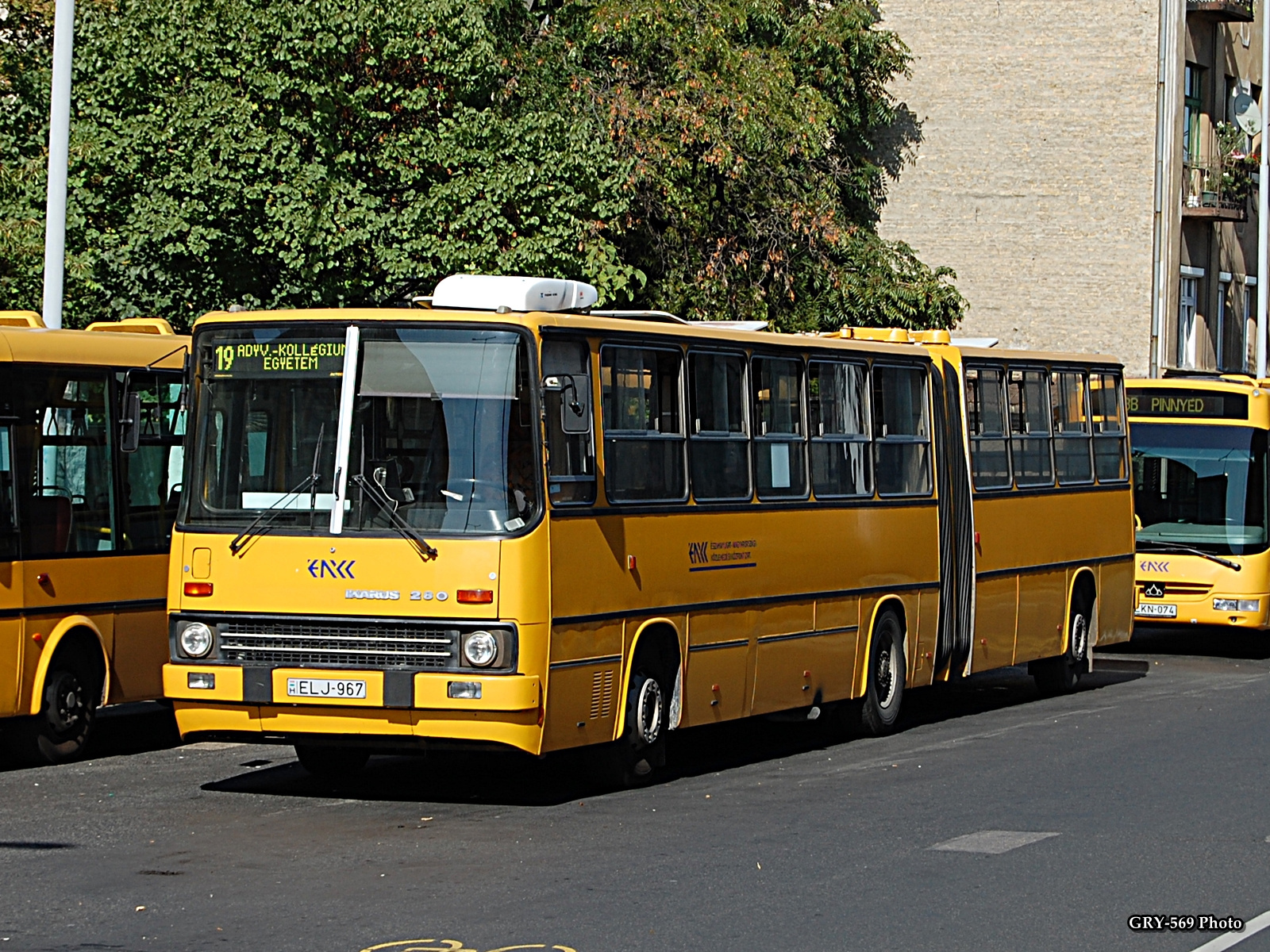 ELJ-967