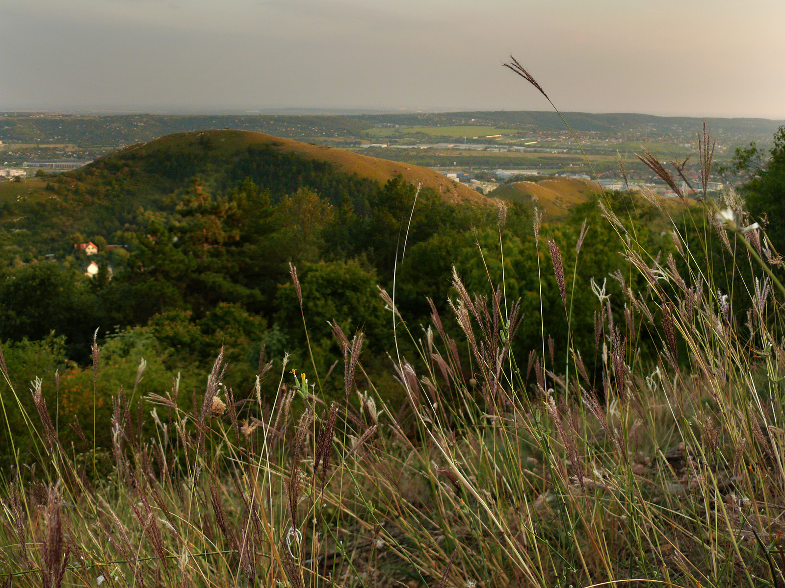 budaörs dombjai